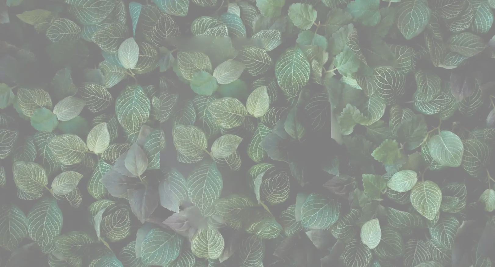 Price List Background